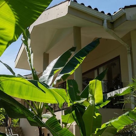 Bed and Breakfast Sol y Sombra Bocas del Toro Exterior foto