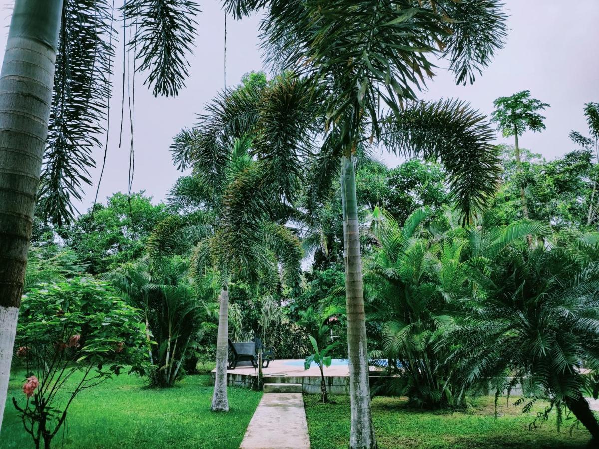 Bed and Breakfast Sol y Sombra Bocas del Toro Exterior foto